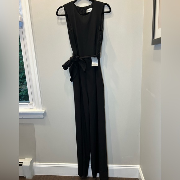 Eliza J Formal Tie Waist Jumpsuit with Pockets! - Picture 5 of 7